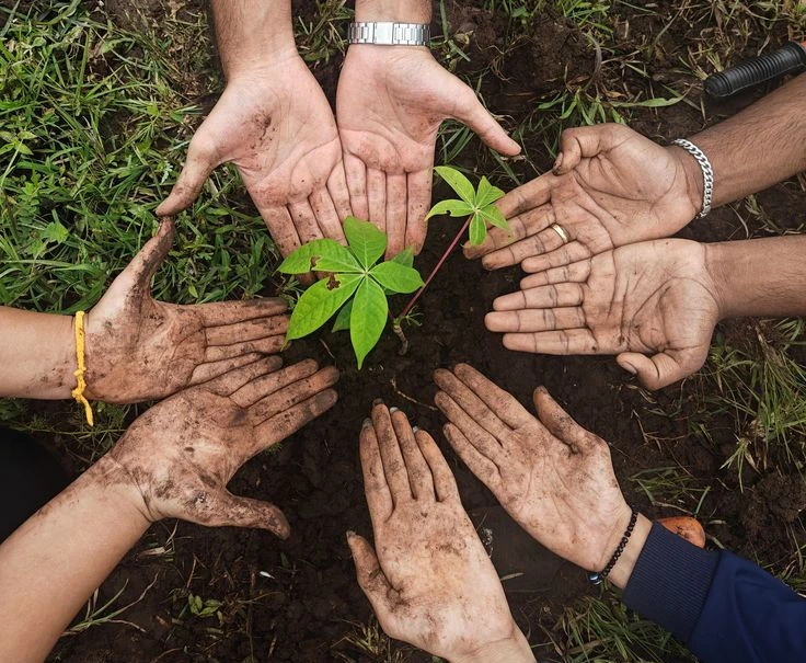 Tree plantation drive under the Green Cities initiative